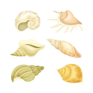 Seashell as Hard Marine Snail Shell Vector Set Stock Illustration