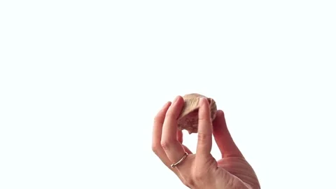 Seashell in human hand isolated on white Vídeo Stock 344844940