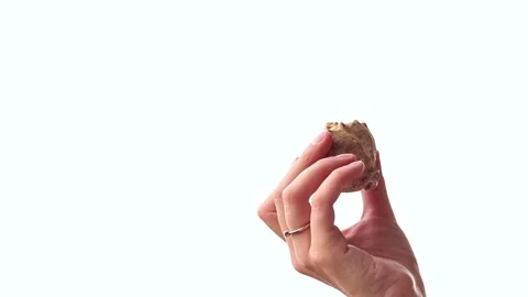 Seashell in human hand isolated on white 库存影片 344844943
