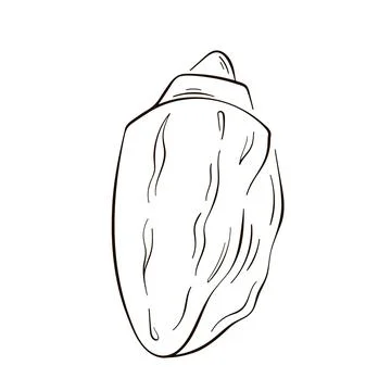 Seashell icon in line art style. Sea logo in shape of shell for design, shirt Stock Illustration