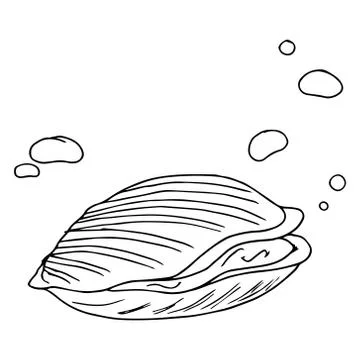 Seashell icon. Vector illustration of a closed seashell. Hand drawn closed sh Illustrazione stock