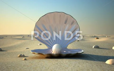 Seashell Stock Illustration