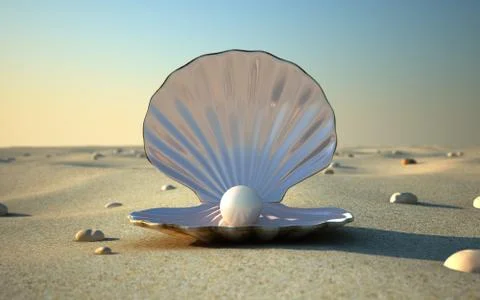 Seashell Stock Illustration