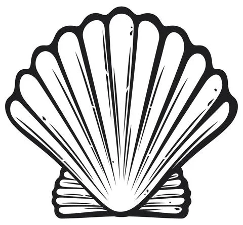 Seashell Stock Illustration