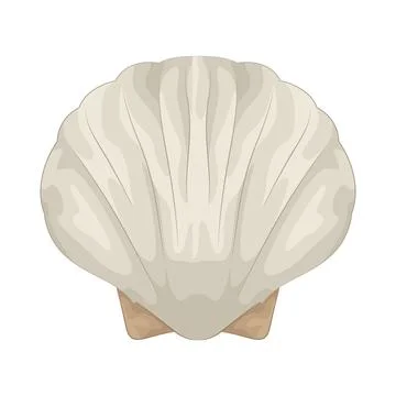 Seashell illustration Illustrazione stock