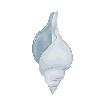 Seashell illustration Illustrazione stock
