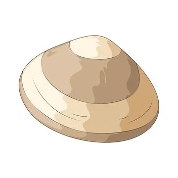 Seashell illustration Stock Illustration