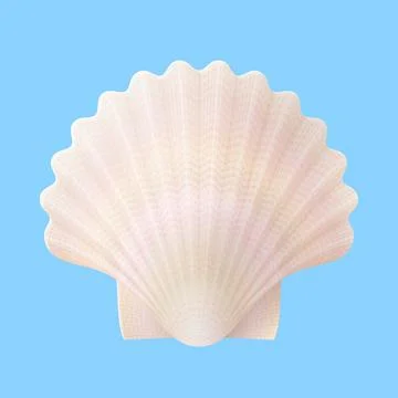 Seashell isolated on blue background Illustrazione stock