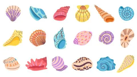Seashell. Isolated seashells, oyster and clam. Decoration beach sea ocean Stock Illustration