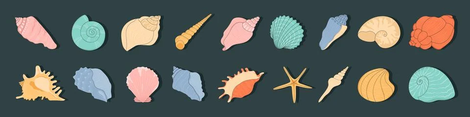 Seashell. Isolated seashells, oyster and clam. Stock Illustration