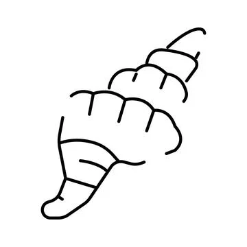 Seashell line art drawing representing marine life and ocean vacation Stock Illustration