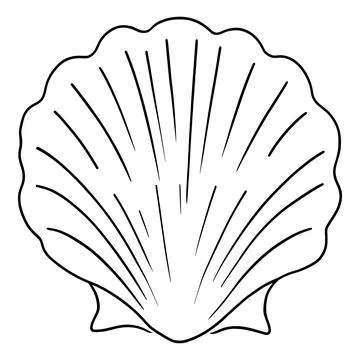 Seashell line simple black outline of a scallop shell with radiating lines,.. Stock Illustration