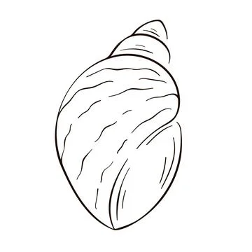 Seashell logo in line art style. Silhouette of seashell icon. Marine dwellers Stock Illustration