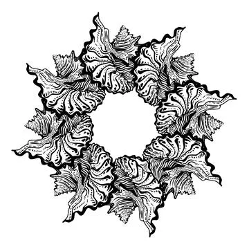 Seashell mandala ornate round frame in black ink isolated on white. Stock Illustration