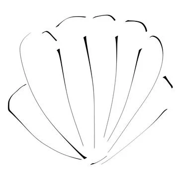 Seashell Minimal Line Art Illustration イラスト素材