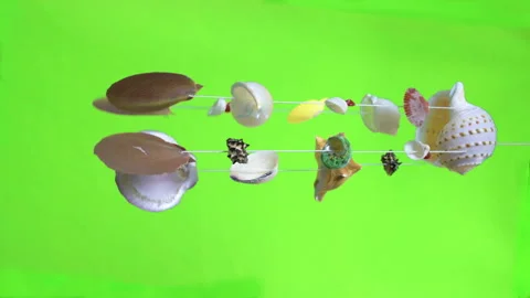Seashell mobile rotating with green screen Stock Footage 232608227