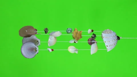 Seashell mobile rotating with green screen Stock Footage 232608612