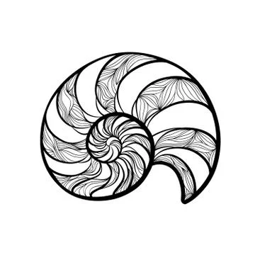 Seashell nautilus. Spiral pattern. Wave nautilus marine background 스톡 일러스트