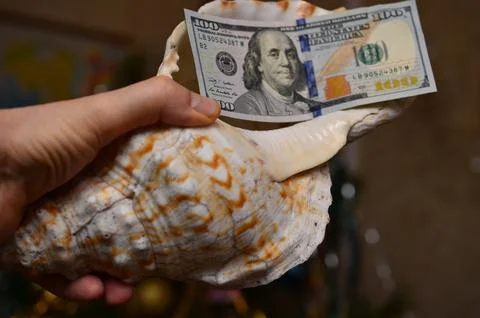 A seashell from the ocean in a person's hand Stock Photos