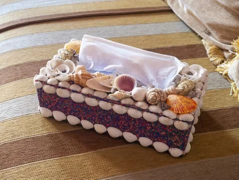 Seashell ornament on the tissue box. close-up of the seashell on the box. Stock Photos