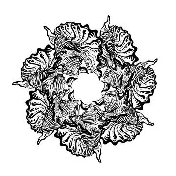 Seashell ornate mandala round frame in black ink isolated on white. Stock Illustration