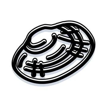 Seashell outline black and white icon drawing Stock Illustration