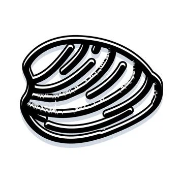 Seashell outline black white drawing design Illustrazione stock