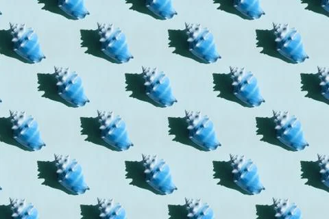 Seashell pattern on blue background. Stock Photos