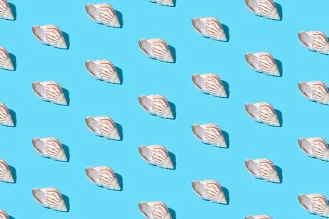 Seashell pattern on a blue background - trendy pattern in modern colors Photos
