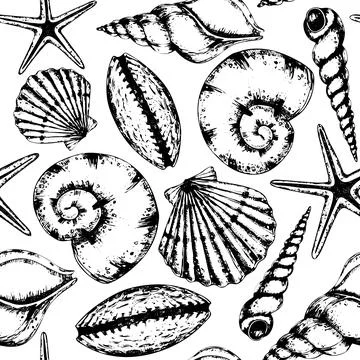 Seashell Pattern on isolated background. Hand drawn vector seamless linear Stock Illustration