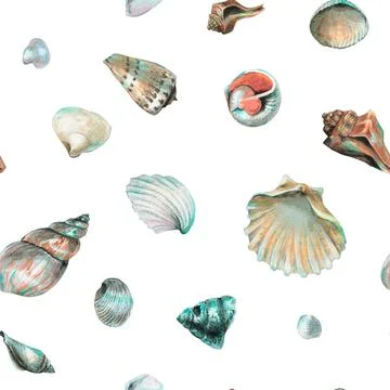 Seashell Pattern on isolated background. Hand drawn watercolor seamless ornament Illustrazione stock