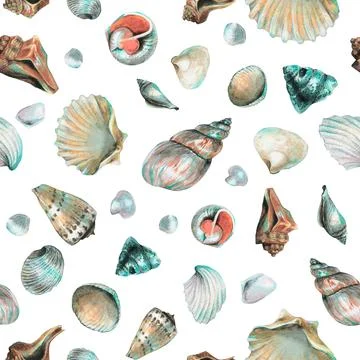 Seashell Pattern on isolated background. Hand drawn watercolor seamless ornament Illustrazione stock