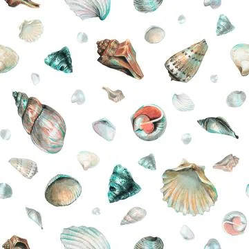 Seashell Pattern on isolated background. Hand drawn watercolor seamless ornament Stock Illustration