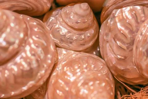 Seashell pattern. Mother of pearl background. Natural seashell macro texture, Stock Photos