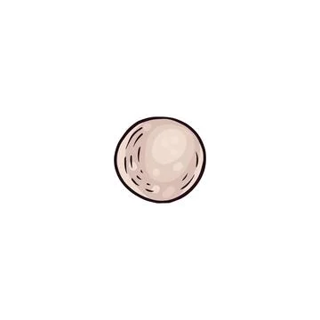 Seashell pearl in colored sketch style, vector illustration isolated on white Stock Illustration