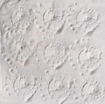 Seashell prints on a sand, top view. pattern of imprints of seashells on a be Stock Photos