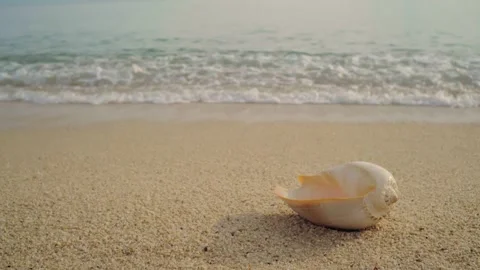 A seashell rests on the sandy beach, with gentle waves rolling in under the Stock Footage 300760716