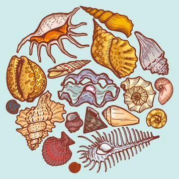 Seashell round icon concept isolated on blue, cartoon vector illustration. Ocean Illustrazione stock