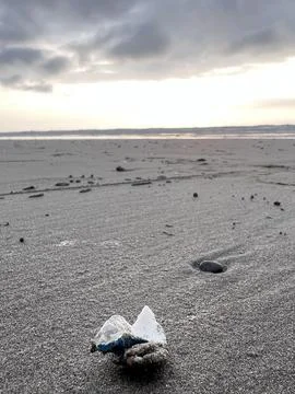 Seashell on Sandy Beach with Ocean and Dramatic Sky Stock Photos