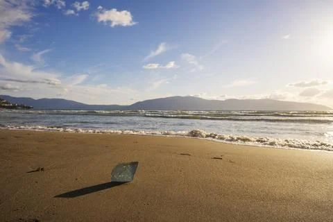 Seashell on sandy sea beach. Shells conch on sand, holiday vacation tropical Stock-Fotos