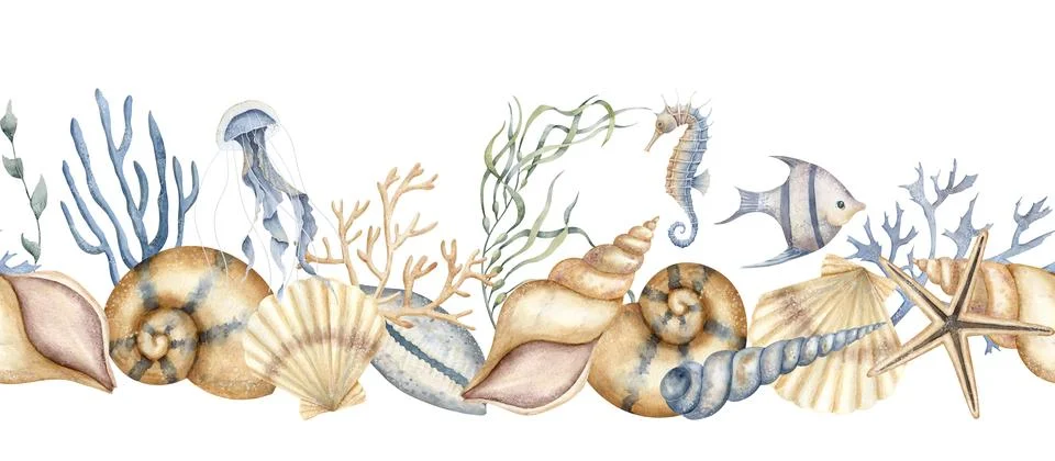 Seashell seamless Border. Hand drawn watercolor illustration of Sea Shell Stock Illustration