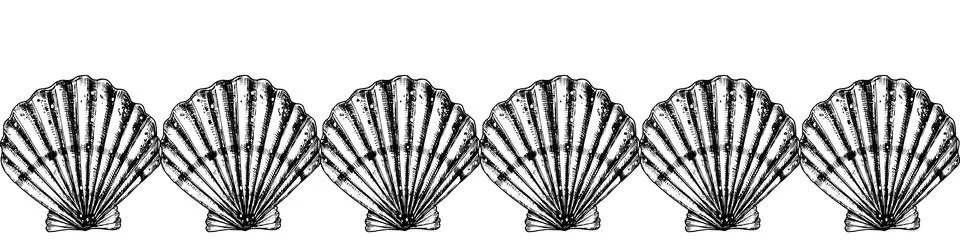Seashell seamless Border. Hand drawn vector illustration of Pattern with scallop 스톡 일러스트