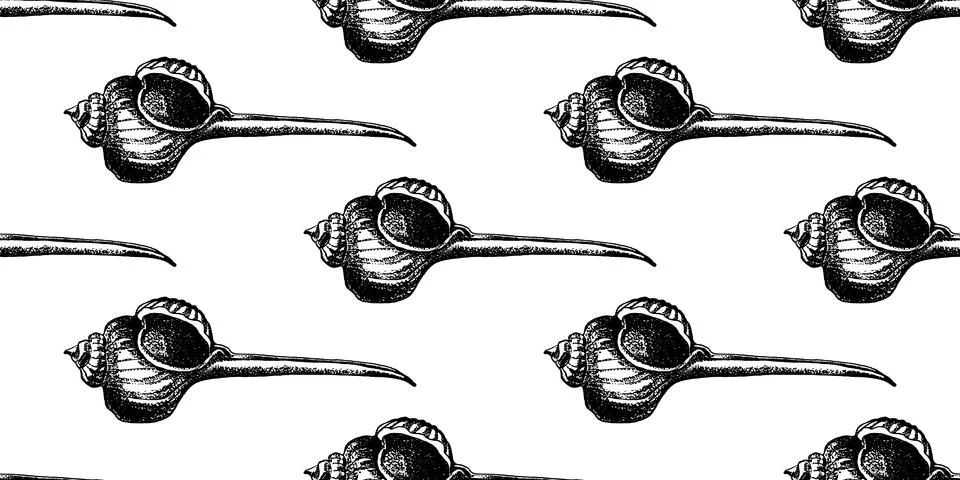 Seashell Seamless pattern hand drawn sketch. Vintage illustration. Illustrazione stock