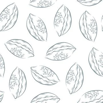 Seashell seamless pattern in line art style. Undersea background design for Illustrazione stock