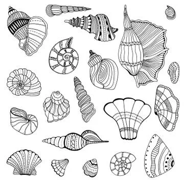 Seashell set collection Stock Illustration