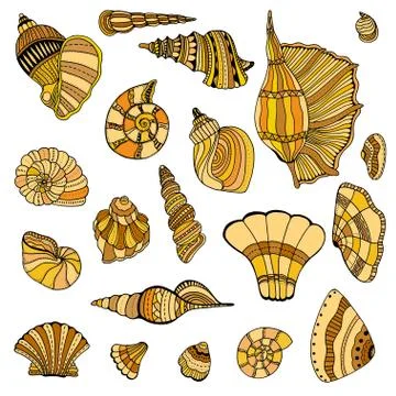 Seashell set collection Stock Illustration