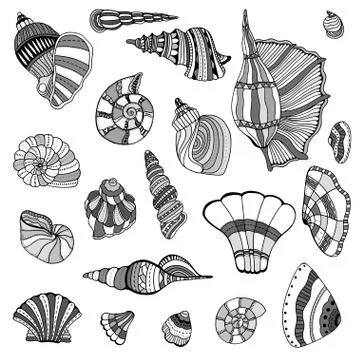Seashell set collection Stock Illustration