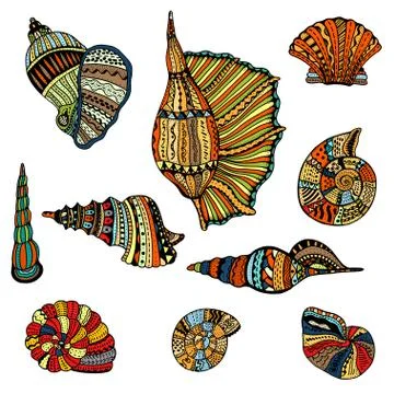 Seashell set collection 스톡 일러스트