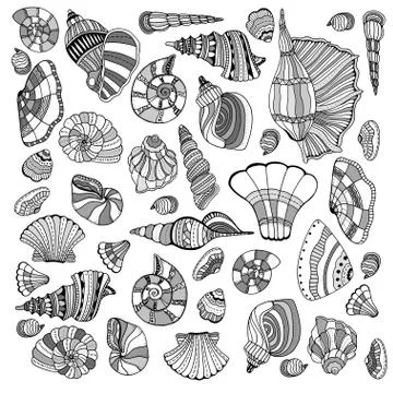 Seashell set collection Stock Illustration