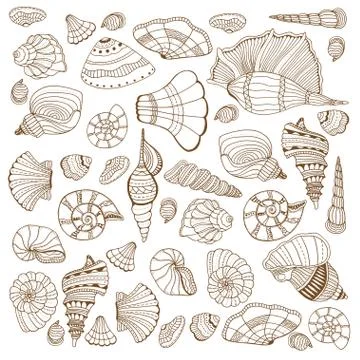 Seashell set collection Stock Illustration